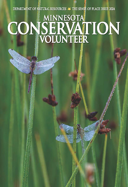 Minnesota Conservation Volunteer