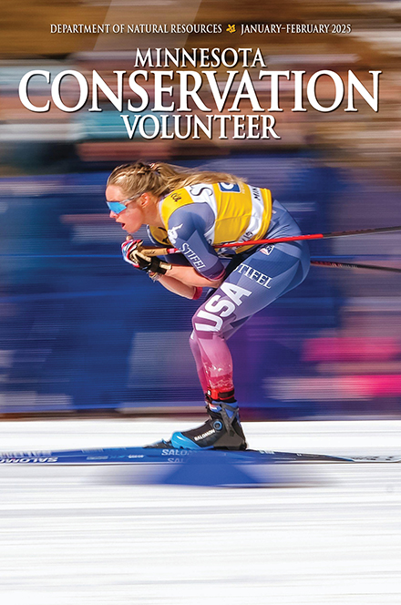 Minnesota Conservation Volunteer
